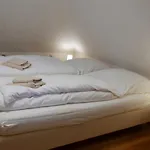 阿尔特韦博雷阿伦苏普酒店 - 奥特德恩霍伦 招待所 3*