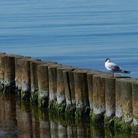 Pensión Alte Weberei - Ort Der Erholung